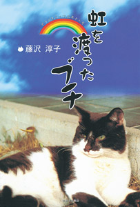 虹を渡ったブチ