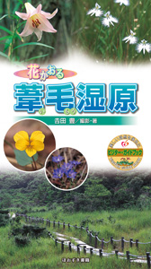 花かおる葦毛湿原